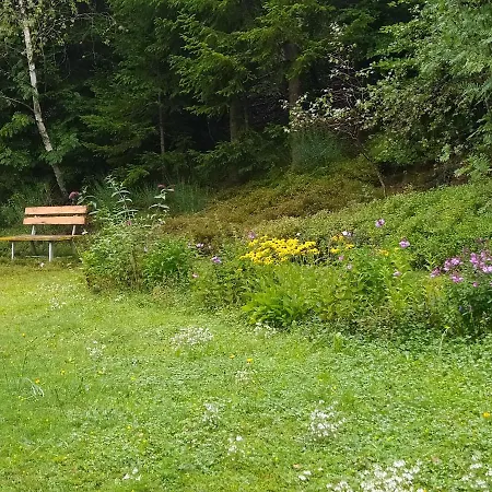 Appartementhaus Tannenhof - 2 アパート